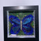 Butterfly LED Light | Gift Idea | Room & Nursery Décor | Office Glow | Butterfly Love