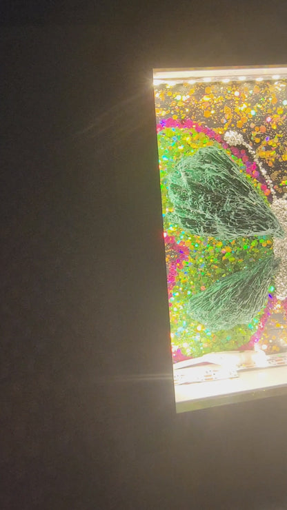 Butterfly LED Light | Gift Idea | Room & Nursery Décor | Office Glow | Butterfly Love